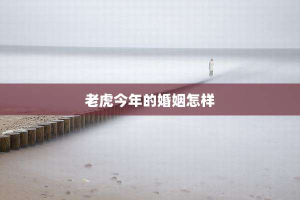 老虎今年的婚姻怎样