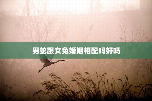 男蛇跟女兔婚姻相配吗好吗