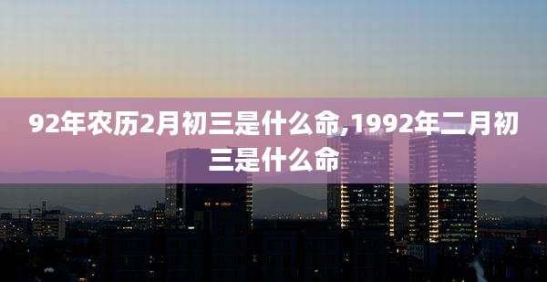 92年农历2月初三是什么命,1992年二月初三是什么命
