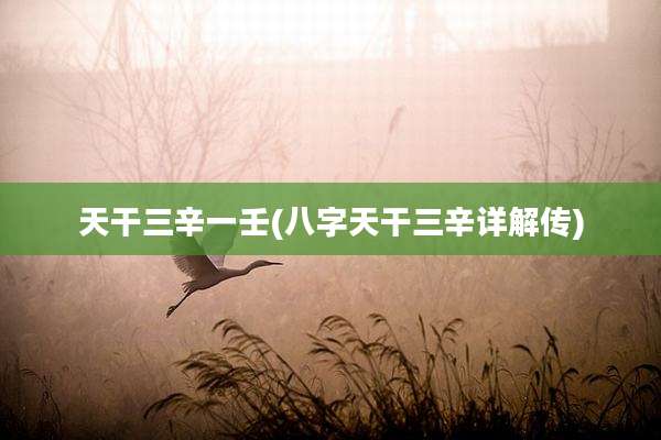 天干三辛一壬(八字天干三辛详解传)