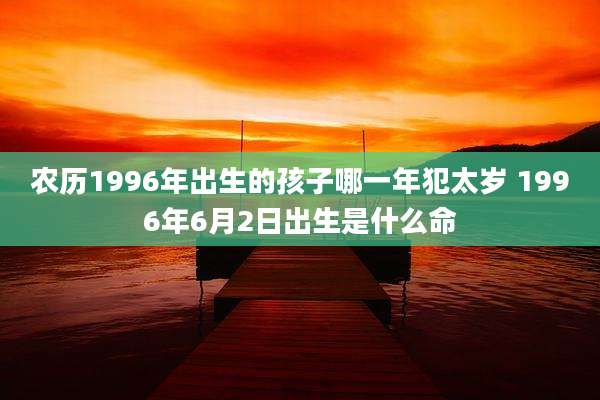 农历1996年出生的孩子哪一年犯太岁 1996年6月2日出生是什么命