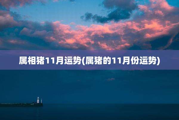 属相猪11月运势(属猪的11月份运势)