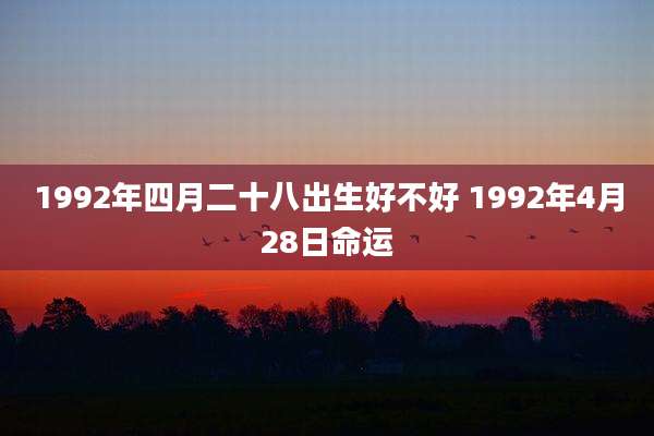 1992年四月二十八出生好不好 1992年4月28日命运
