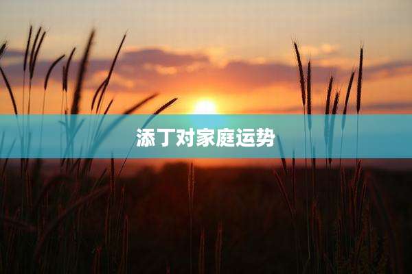 添丁对家庭运势