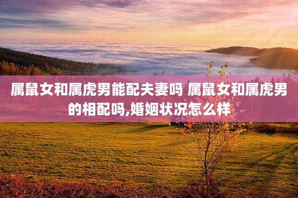 属鼠女和属虎男能配夫妻吗 属鼠女和属虎男的相配吗,婚姻状况怎么样