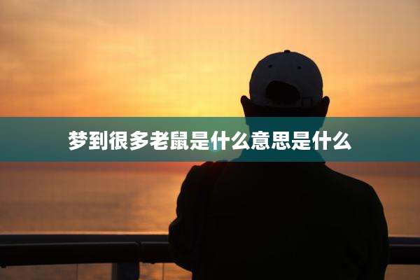 梦到很多老鼠是什么意思是什么