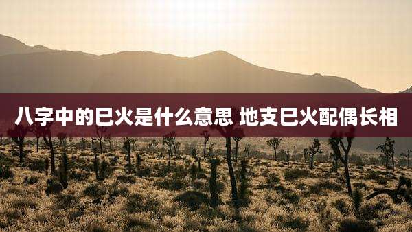 八字中的巳火是什么意思 地支巳火配偶长相