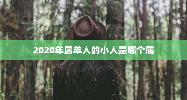 2020年属羊人的小人是哪个属