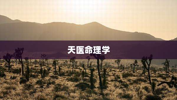 天医命理学