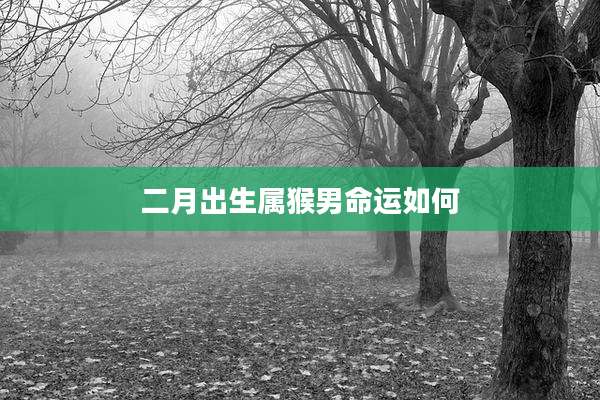二月出生属猴男命运如何