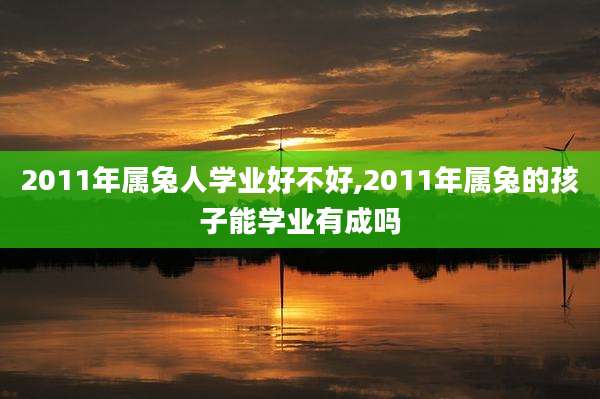 2011年属兔人学业好不好,2011年属兔的孩子能学业有成吗