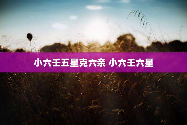 小六壬五星克六亲 小六壬六星