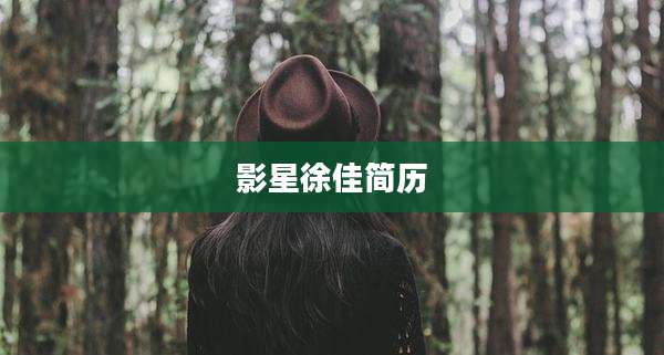 影星徐佳简历