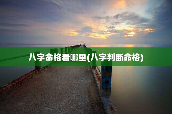 八字命格看哪里(八字判断命格)