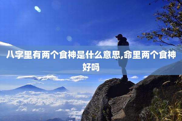 八字里有两个食神是什么意思,命里两个食神好吗