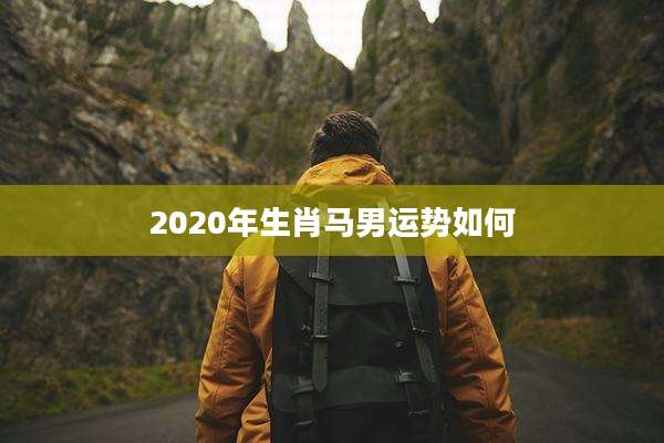 2020年生肖马男运势如何