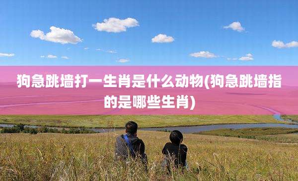 狗急跳墙打一生肖是什么动物(狗急跳墙指的是哪些生肖)