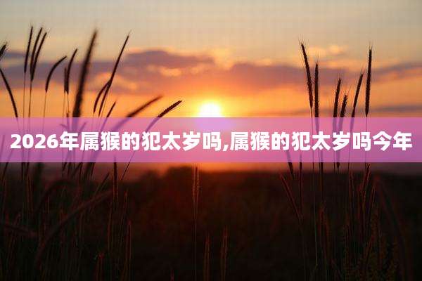 2026年属猴的犯太岁吗,属猴的犯太岁吗今年
