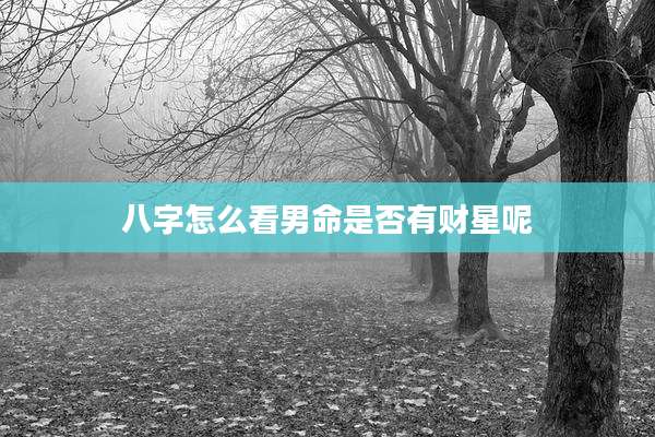 八字怎么看男命是否有财星呢