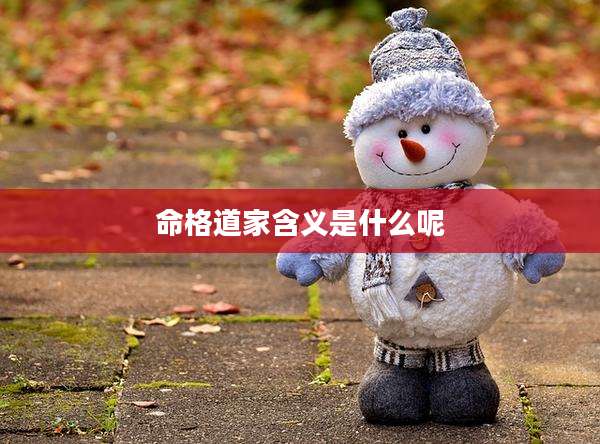 命格道家含义是什么呢