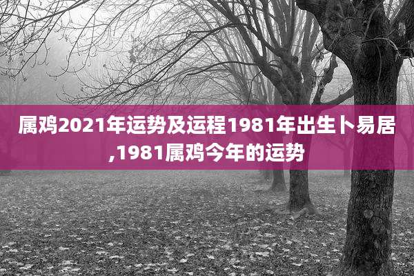 属鸡2021年运势及运程1981年出生卜易居,1981属鸡今年的运势