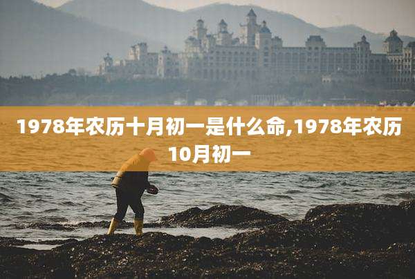 1978年农历十月初一是什么命,1978年农历10月初一