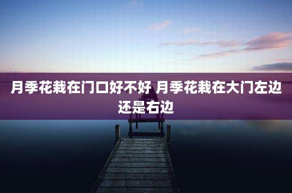 月季花栽在门口好不好 月季花栽在大门左边还是右边
