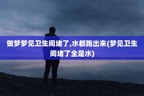 做梦梦见卫生间堵了,水都跑出来(梦见卫生间堵了全是水)