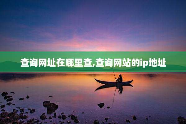 查询网址在哪里查,查询网站的ip地址