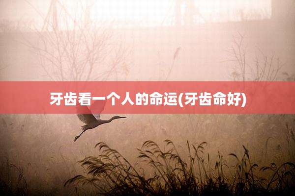 牙齿看一个人的命运(牙齿命好)