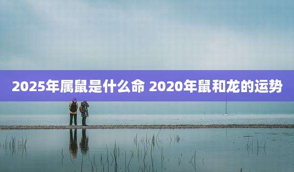 2025年属鼠是什么命 2020年鼠和龙的运势