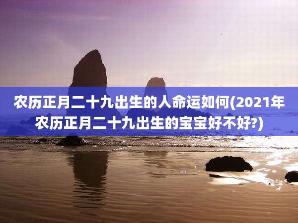 农历正月二十九出生的人命运如何(2021年农历正月二十九出生的宝宝好不好?)