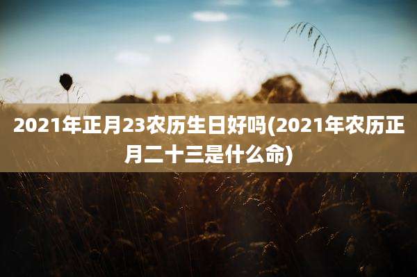 2021年正月23农历生日好吗(2021年农历正月二十三是什么命)