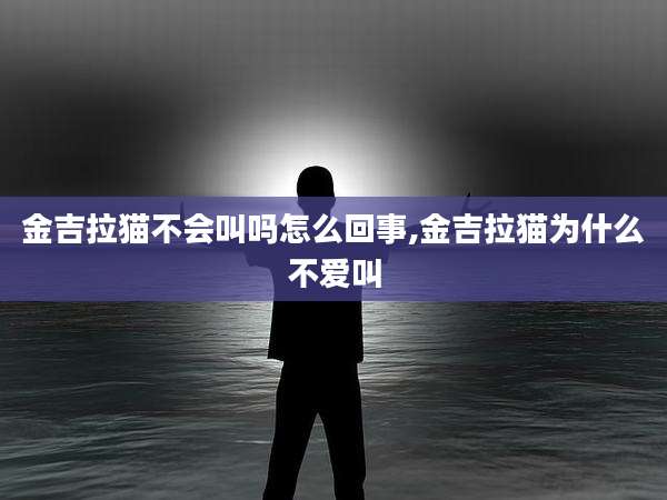金吉拉猫不会叫吗怎么回事,金吉拉猫为什么不爱叫