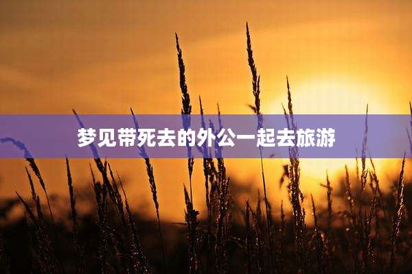 梦见带死去的外公一起去旅游