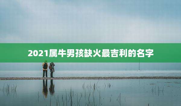 2021属牛男孩缺火最吉利的名字