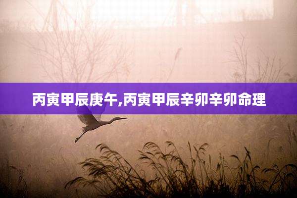 丙寅甲辰庚午,丙寅甲辰辛卯辛卯命理