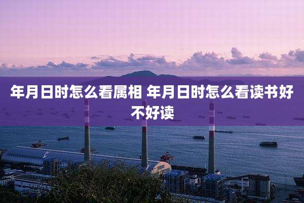 年月日时怎么看属相 年月日时怎么看读书好不好读