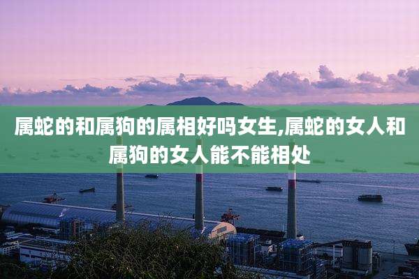 属蛇的和属狗的属相好吗女生,属蛇的女人和属狗的女人能不能相处