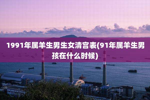 1991年属羊生男生女清宫表(91年属羊生男孩在什么时候)