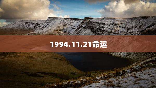 1994.11.21命运