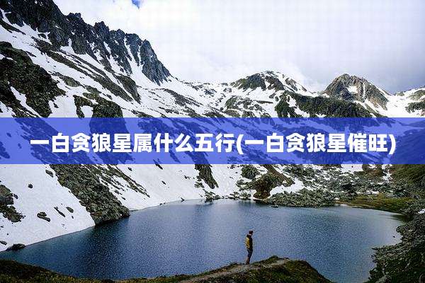 一白贪狼星属什么五行(一白贪狼星催旺)