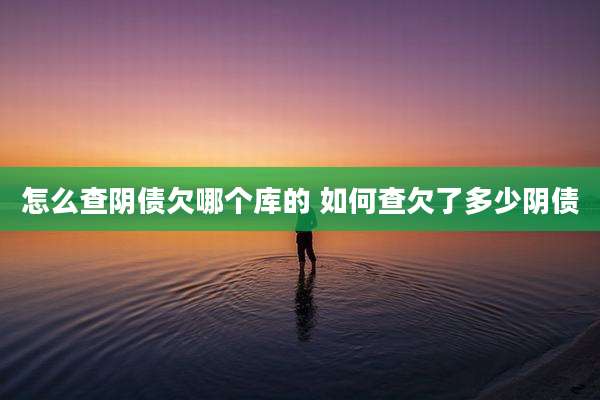 怎么查阴债欠哪个库的 如何查欠了多少阴债
