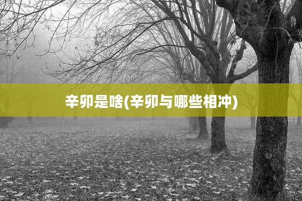 辛卯是啥(辛卯与哪些相冲)
