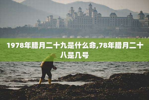 1978年腊月二十九是什么命,78年腊月二十八是几号