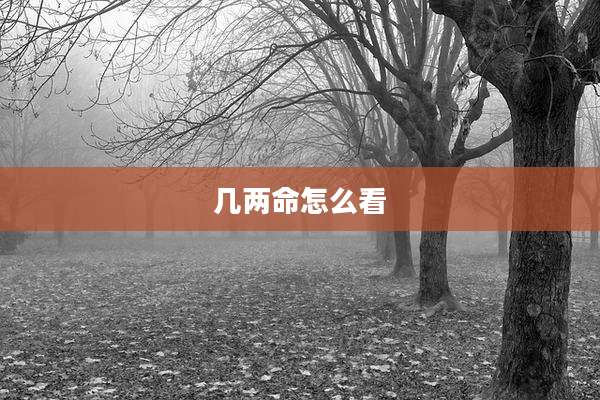 几两命怎么看