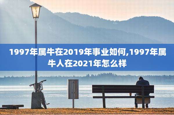 1997年属牛在2019年事业如何,1997年属牛人在2021年怎么样