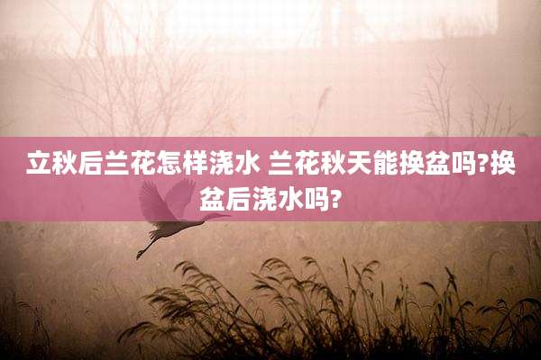 立秋后兰花怎样浇水 兰花秋天能换盆吗?换盆后浇水吗?