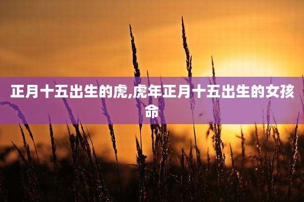 正月十五出生的虎,虎年正月十五出生的女孩命