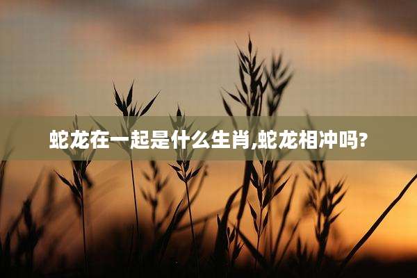蛇龙在一起是什么生肖,蛇龙相冲吗?